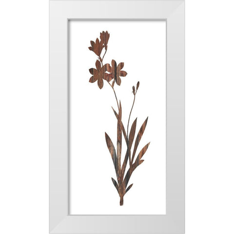 Earth Tone1 White Modern Wood Framed Art Print by Lewis, Sheldon