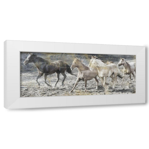 Free Spirits White Modern Wood Framed Art Print by Lewis, Sheldon