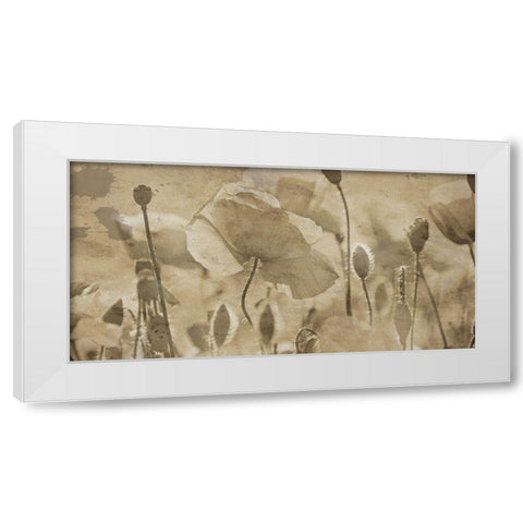 Fresh Meadow Bloom  White Modern Wood Framed Art Print by Lewis, Sheldon