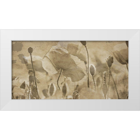 Fresh Meadow Bloom  White Modern Wood Framed Art Print by Lewis, Sheldon