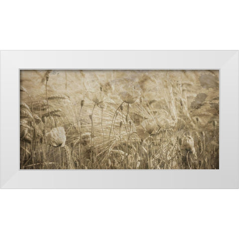 Fresh Meadow Bloom 2  White Modern Wood Framed Art Print by Lewis, Sheldon