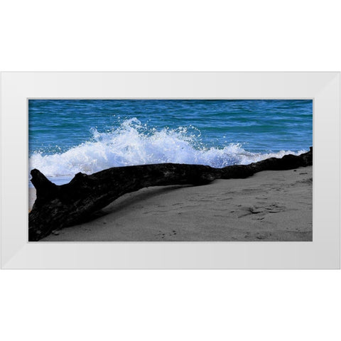 Drift Wood White Modern Wood Framed Art Print by Lewis, Sheldon