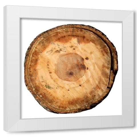 Earthy Rings Of Ages White Modern Wood Framed Art Print by Lewis, Sheldon