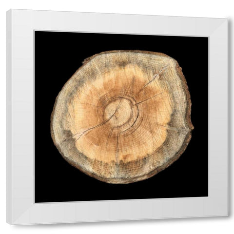 Dark Rings Of Ages 2 White Modern Wood Framed Art Print by Lewis, Sheldon