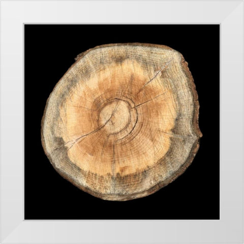 Dark Rings Of Ages 2 White Modern Wood Framed Art Print by Lewis, Sheldon