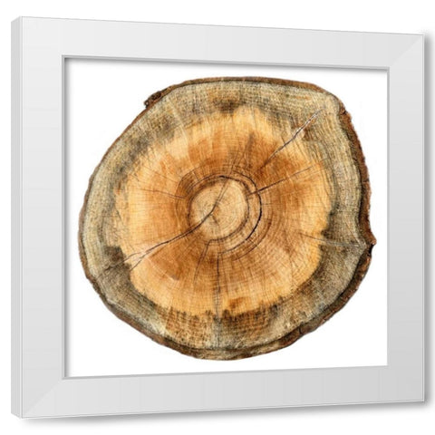 Earthy Rings Of Ages 2 White Modern Wood Framed Art Print by Lewis, Sheldon