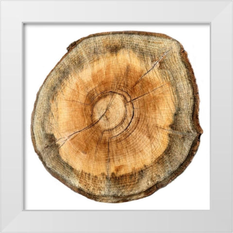 Earthy Rings Of Ages 2 White Modern Wood Framed Art Print by Lewis, Sheldon