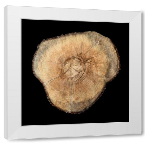 Dark Rings Of Ages 3 White Modern Wood Framed Art Print by Lewis, Sheldon