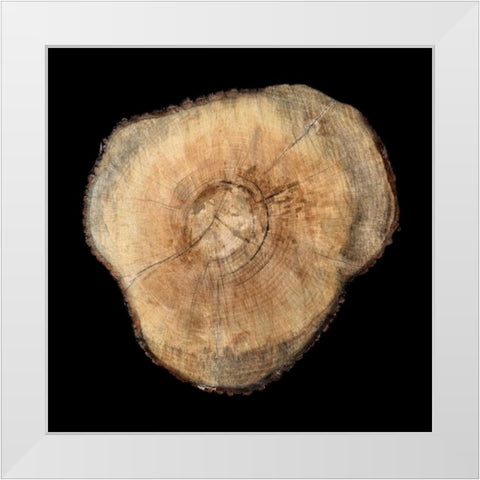 Dark Rings Of Ages 3 White Modern Wood Framed Art Print by Lewis, Sheldon