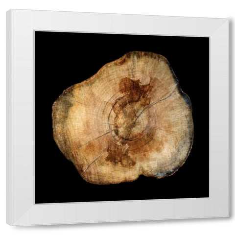 Dark Rings Of Ages 4 White Modern Wood Framed Art Print by Lewis, Sheldon