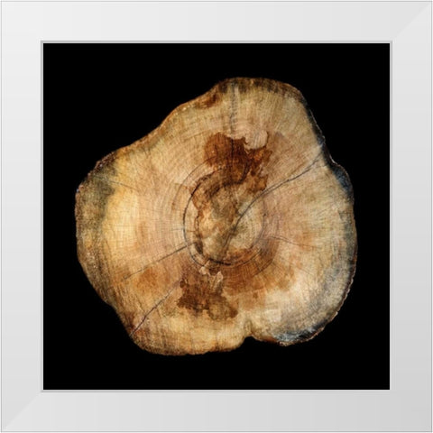 Dark Rings Of Ages 4 White Modern Wood Framed Art Print by Lewis, Sheldon