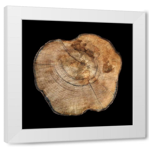 Dark Rings Of Ages 5 White Modern Wood Framed Art Print by Lewis, Sheldon