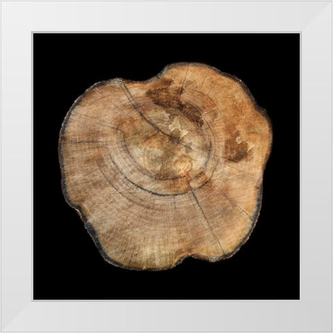 Dark Rings Of Ages 5 White Modern Wood Framed Art Print by Lewis, Sheldon