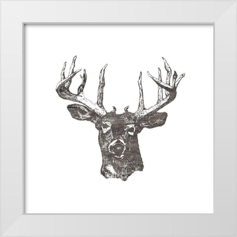 Big Buck White Modern Wood Framed Art Print by Lewis, Sheldon