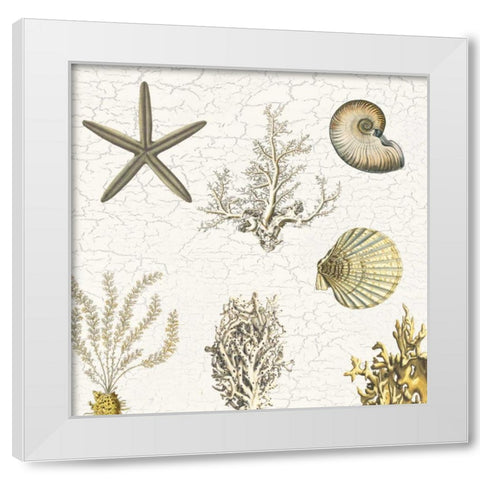 Coastal Pride White Modern Wood Framed Art Print by Lewis, Sheldon