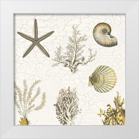 Coastal Pride White Modern Wood Framed Art Print by Lewis, Sheldon