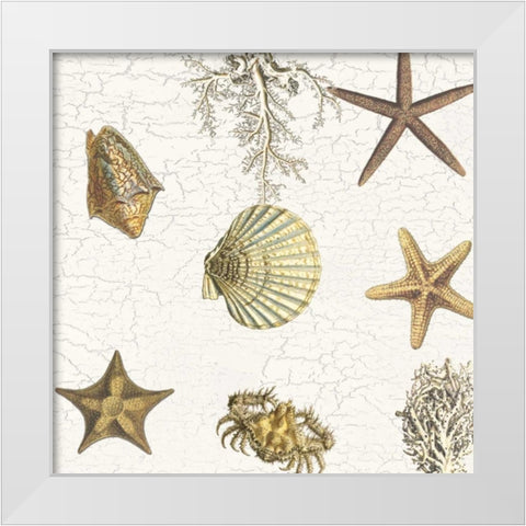 Coastal Joy White Modern Wood Framed Art Print by Lewis, Sheldon