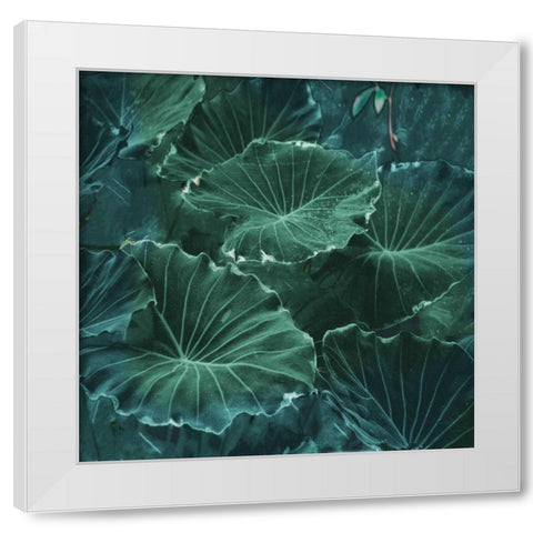Mello Tropical White Modern Wood Framed Art Print by Lewis, Sheldon