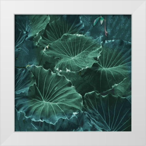 Mello Tropical White Modern Wood Framed Art Print by Lewis, Sheldon