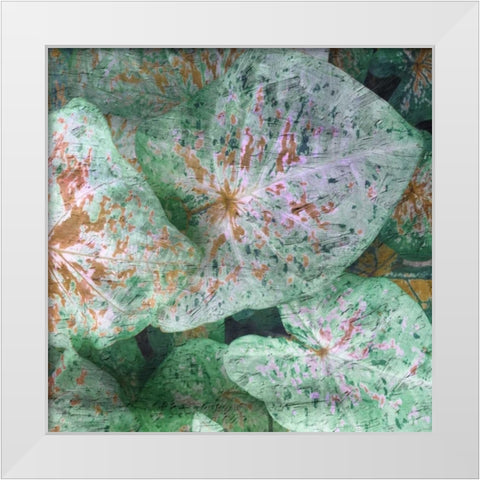 Tropical Plant 1 White Modern Wood Framed Art Print by Lewis, Sheldon