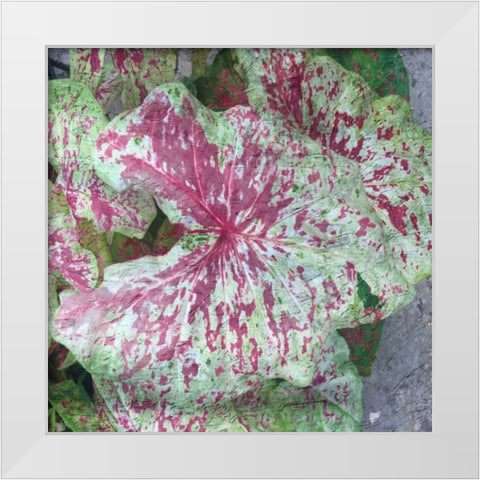 Tropical Plant 2 White Modern Wood Framed Art Print by Lewis, Sheldon