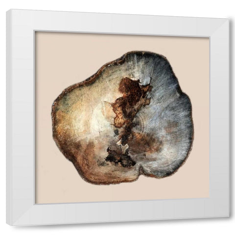 Tree Ring Stump 1 White Modern Wood Framed Art Print by Lewis, Sheldon