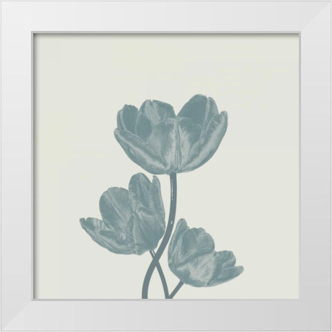 Pure 1 White Modern Wood Framed Art Print by Lewis, Sheldon