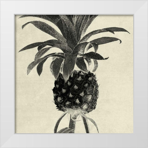 Terrarium Pine 1 White Modern Wood Framed Art Print by Lewis, Sheldon