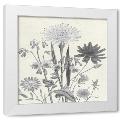 Terrarium Flower White Modern Wood Framed Art Print by Lewis, Sheldon