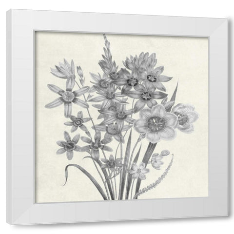 Terrarium Floral White Modern Wood Framed Art Print by Lewis, Sheldon