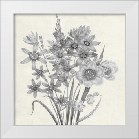Terrarium Floral White Modern Wood Framed Art Print by Lewis, Sheldon