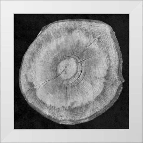 Terrarium Plank White Modern Wood Framed Art Print by Lewis, Sheldon