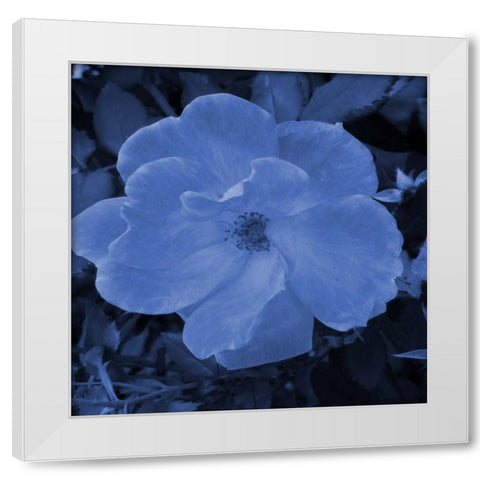 Midnight Kiss 1 White Modern Wood Framed Art Print by Lewis, Sheldon