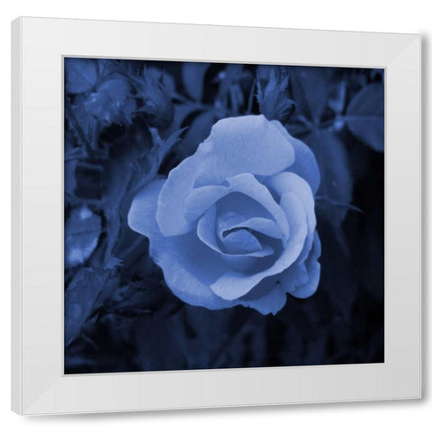 Midnight Romance White Modern Wood Framed Art Print by Lewis, Sheldon