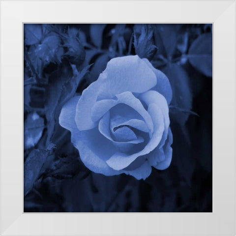 Midnight Romance White Modern Wood Framed Art Print by Lewis, Sheldon