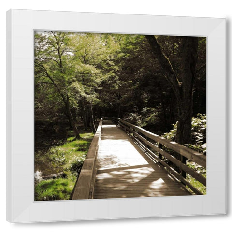 Sepia and Green 1 White Modern Wood Framed Art Print by Lewis, Sheldon