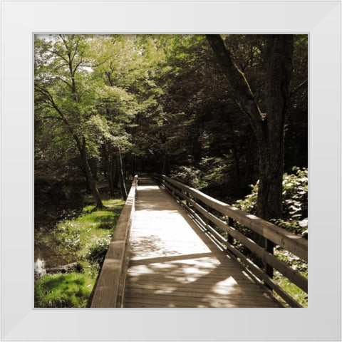 Sepia and Green 1 White Modern Wood Framed Art Print by Lewis, Sheldon