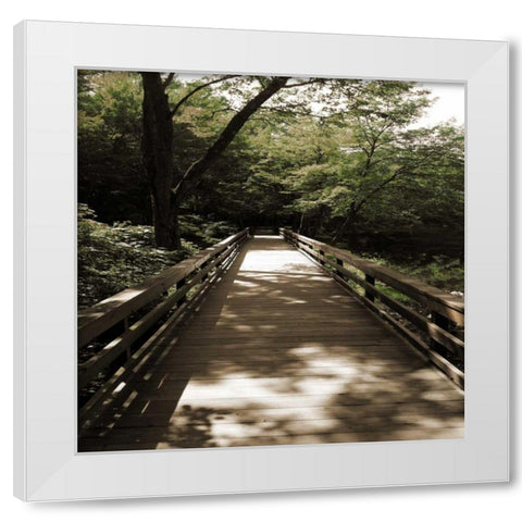 Sepia and Green 2 White Modern Wood Framed Art Print by Lewis, Sheldon