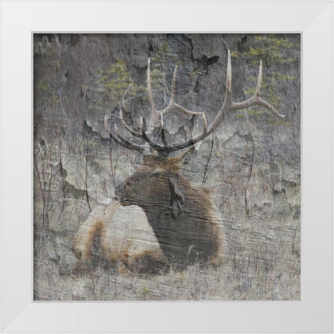Out In The Wall White Modern Wood Framed Art Print by Lewis, Sheldon