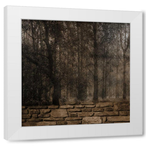Stone Wall Landscape White Modern Wood Framed Art Print by Lewis, Sheldon