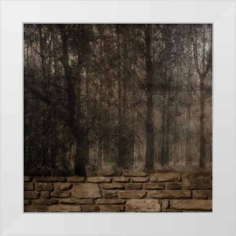 Stone Wall Landscape White Modern Wood Framed Art Print by Lewis, Sheldon