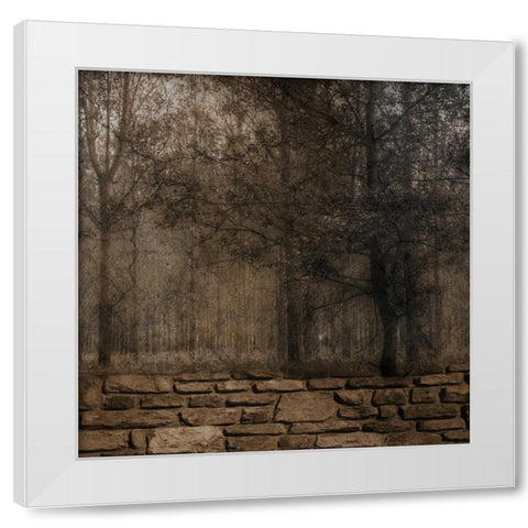Stone Wall Landscape 2 White Modern Wood Framed Art Print by Lewis, Sheldon
