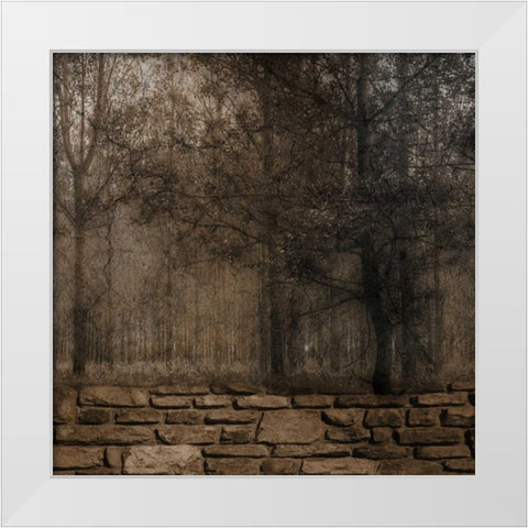 Stone Wall Landscape 2 White Modern Wood Framed Art Print by Lewis, Sheldon