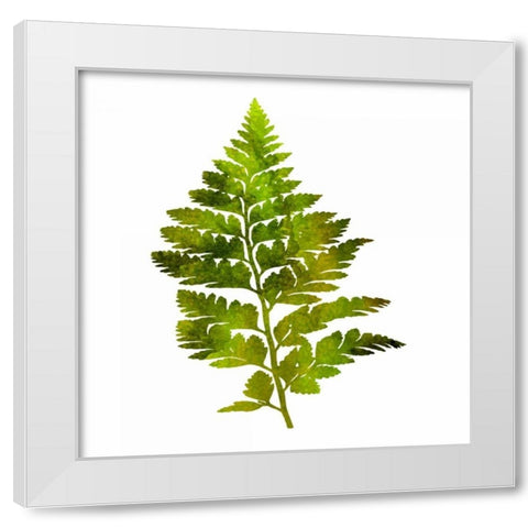 Kings Brush White Modern Wood Framed Art Print by Lewis, Sheldon