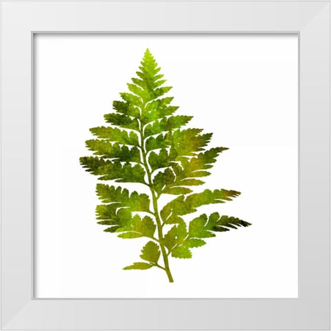 Kings Brush White Modern Wood Framed Art Print by Lewis, Sheldon