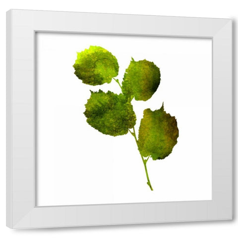 Kings Brush 4 White Modern Wood Framed Art Print by Lewis, Sheldon