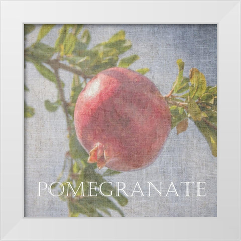 Pomegranate White Modern Wood Framed Art Print by Lewis, Sheldon