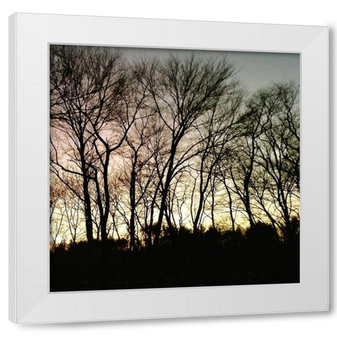 Mountain 1 White Modern Wood Framed Art Print by Lewis, Sheldon