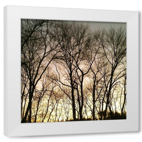 Mountain 2 White Modern Wood Framed Art Print by Lewis, Sheldon
