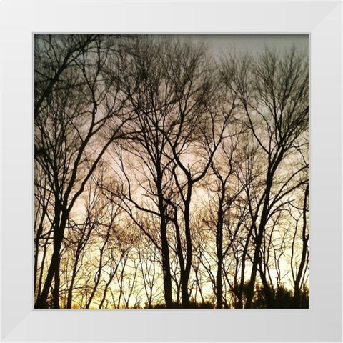 Mountain 2 White Modern Wood Framed Art Print by Lewis, Sheldon